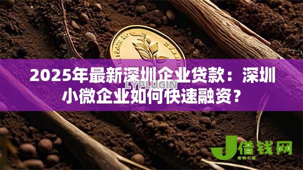 2025年最新深圳企业贷款:深圳小微企业如何快速融资? 2025年最新深圳企业贷款:深圳小微企业如何快速融资?