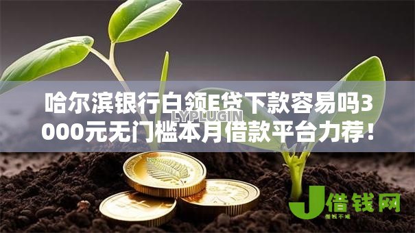 哈尔滨银行白领E贷下款容易吗3000元无门槛本月借款平台力荐!分享小额网贷口子3000元无门槛借款 哈尔滨银行白领E贷下款容易吗3000元无门槛本月借款平台力荐!分享小额网贷口子3000元无门槛借款