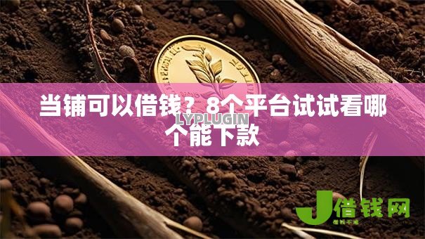 当铺可以借钱?8个平台试试看哪个能下款 当铺可以借钱?8个平台试试看哪个能下款