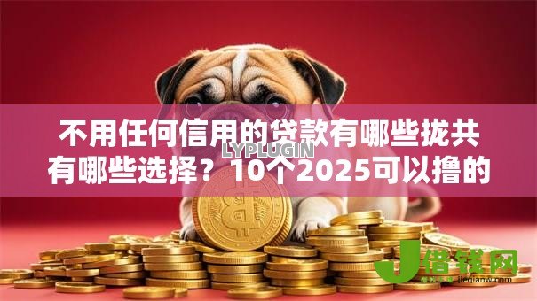 不用任何信用的贷款有哪些拢共有哪些选择?10个2025可以撸的口子详解 不用任何信用的贷款有哪些拢共有哪些选择?10个2025可以撸的口子详解