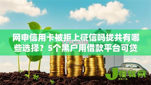 网申信用卡被拒上征信吗拢共有哪些选择？5个黑户用借款平台可贷到款详解
