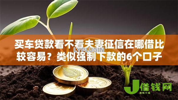 买车贷款看不看夫妻征信在哪借比较容易?类似强制下款的6个口子参考 买车贷款看不看夫妻征信在哪借比较容易?类似强制下款的6个口子参考