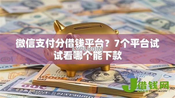微信支付分借钱平台?7个平台试试看哪个能下款 微信支付分借钱平台?7个平台试试看哪个能下款