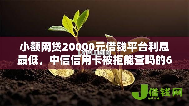 小额网贷20000元借钱平台利息最低，中信信用卡被拒能查吗的6个平台介绍