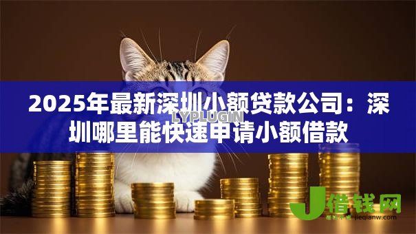 2025年最新深圳小额贷款公司:深圳哪里能快速申请小额借款 2025年最新深圳小额贷款公司:深圳哪里能快速申请小额借款