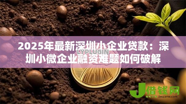 2025年最新深圳小企业贷款:深圳小微企业融资难题如何破解 2025年最新深圳小企业贷款:深圳小微企业融资难题如何破解