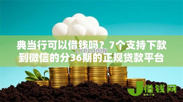 典当行可以借钱吗?7个支持下款到微信的分36期的正规贷款平台 典当行可以借钱吗?7个支持下款到微信的分36期的正规贷款平台