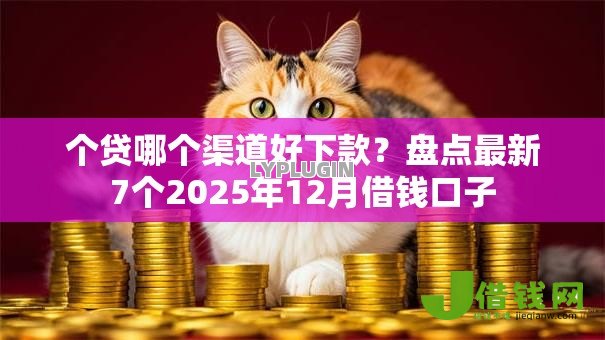 个贷哪个渠道好下款?盘点最新7个2025年12月借钱口子 个贷哪个渠道好下款?盘点最新7个2025年12月借钱口子