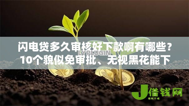 闪电贷多久审核好下款啊有哪些?10个貌似免审批、无视黑花能下款一万元口子合集 闪电贷多久审核好下款啊有哪些?10个貌似免审批、无视黑花能下款一万元口子合集