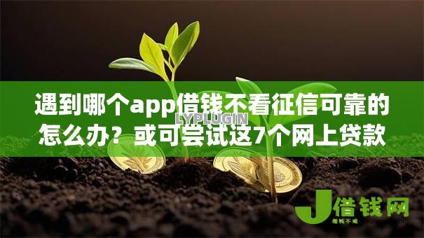 遇到哪个app借钱不看征信可靠的怎么办？或可尝试这7个网上贷款平台排行榜