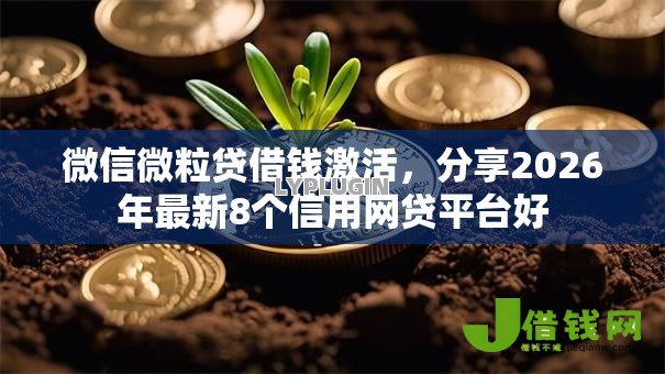 微信微粒贷借钱激活，分享2026年最新8个信用网贷平台好
