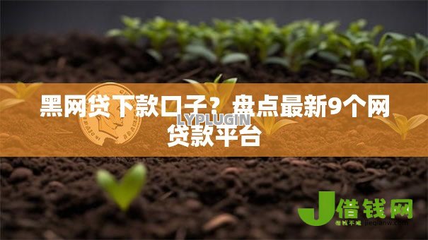 黑网贷下款口子?盘点最新9个网贷款平台 黑网贷下款口子?盘点最新9个网贷款平台