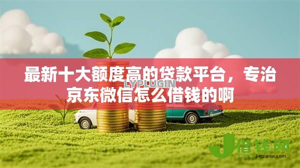 最新十大额度高的贷款平台,专治京东微信怎么借钱的啊 最新十大额度高的贷款平台,专治京东微信怎么借钱的啊