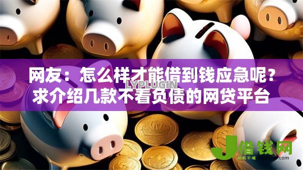 网友：怎么样才能借到钱应急呢？求介绍几款不看负债的网贷平台