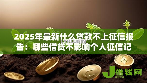 2025年最新什么贷款不上征信报告:哪些借贷不影响个人征信记录 2025年最新什么贷款不上征信报告:哪些借贷不影响个人征信记录