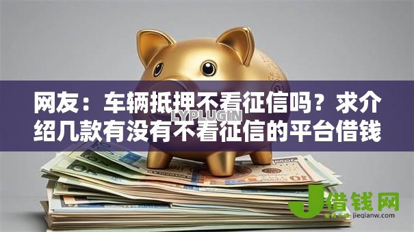 网友：车辆抵押不看征信吗？求介绍几款有没有不看征信的平台借钱