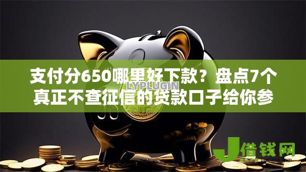 支付分650哪里好下款？盘点7个真正不查征信的贷款口子给你参考