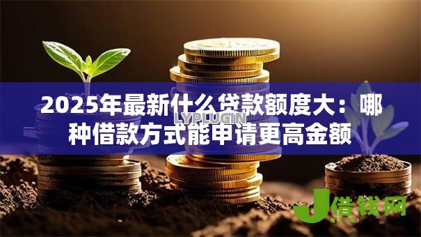 2025年最新什么贷款额度大:哪种借款方式能申请更高金额 2025年最新什么贷款额度大:哪种借款方式能申请更高金额