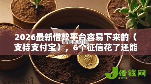 2026最新借款平台容易下来的（支持支付宝），6个征信花了还能下款的几千小额度平台无私分享