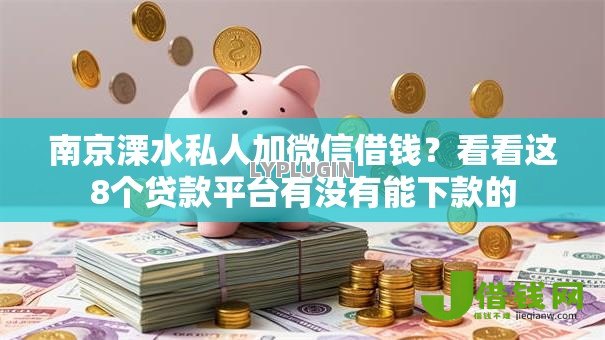 南京溧水私人加微信借钱？看看这8个贷款平台有没有能下款的