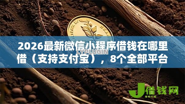 2026最新微信小程序借钱在哪里借（支持支付宝），8个全部平台都拒还能下款的平台无私分享