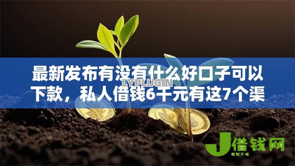 最新发布有没有什么好口子可以下款，私人借钱6千元有这7个渠道