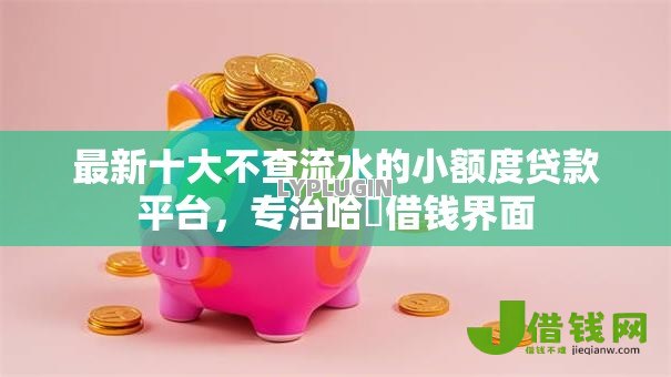 最新十大不查流水的小额度贷款平台，专治哈啰借钱界面