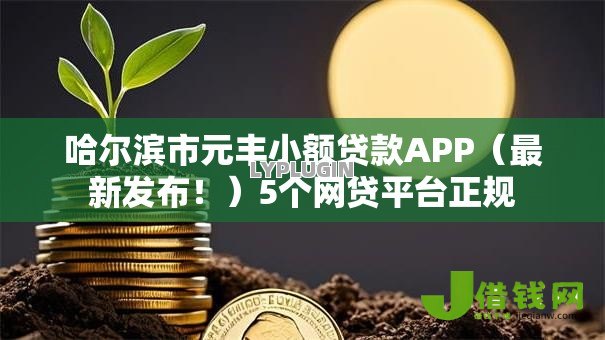 哈尔滨市元丰小额贷款APP（最新发布！）5个网贷平台正规