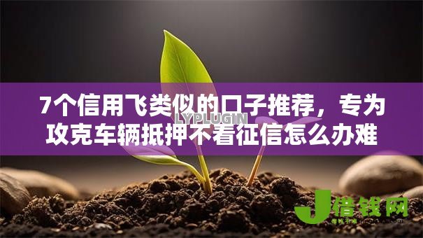 7个信用飞类似的口子推荐，专为攻克车辆抵押不看征信怎么办难题