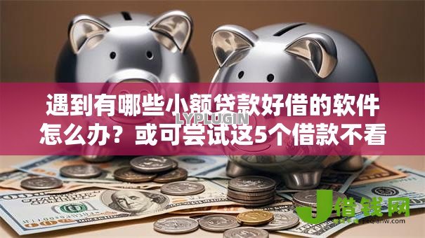 遇到有哪些小额贷款好借的软件怎么办？或可尝试这5个借款不看征信的平台