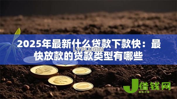 2025年最新什么贷款下款快:最快放款的贷款类型有哪些 2025年最新什么贷款下款快:最快放款的贷款类型有哪些