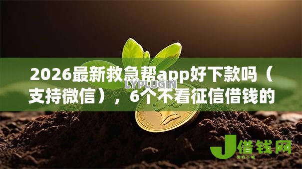 2026最新救急帮app好下款吗(支持微信),6个不看征信借钱的平台100%能借到无私分享 2026最新救急帮app好下款吗(支持微信),6个不看征信借钱的平台100%能借到无私分享
