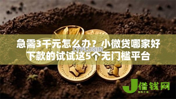 急需3千元怎么办?小微贷哪家好下款的试试这5个无门槛平台 急需3千元怎么办?小微贷哪家好下款的试试这5个无门槛平台