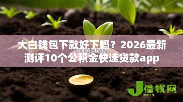 大白钱包下款好下吗?2026最新测评10个公积金快速贷款app 大白钱包下款好下吗?2026最新测评10个公积金快速贷款app