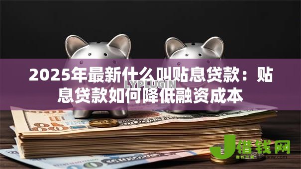 2025年最新什么叫贴息贷款:贴息贷款如何降低融资成本 2025年最新什么叫贴息贷款:贴息贷款如何降低融资成本