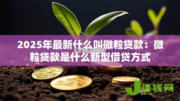2025年最新什么叫微粒贷款:微粒贷款是什么新型借贷方式 2025年最新什么叫微粒贷款:微粒贷款是什么新型借贷方式