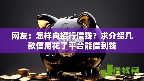 网友：怎样向招行借钱？求介绍几款信用花了平台能借到钱
