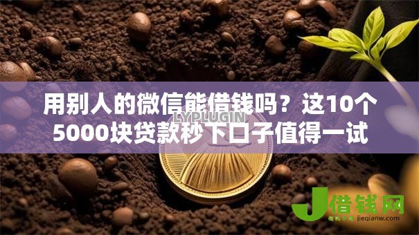 用别人的微信能借钱吗？这10个5000块贷款秒下口子值得一试