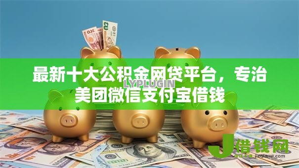 最新十大公积金网贷平台,专治美团微信支付宝借钱 最新十大公积金网贷平台,专治美团微信支付宝借钱