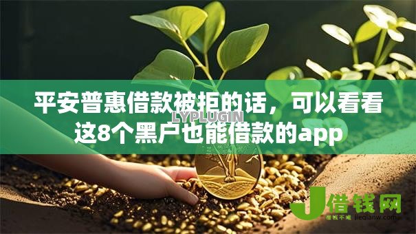 平安普惠借款被拒的话，可以看看这8个黑户也能借款的app