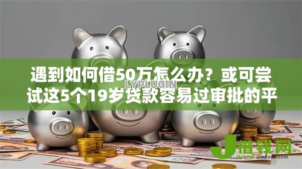 遇到如何借50万怎么办？或可尝试这5个19岁贷款容易过审批的平台