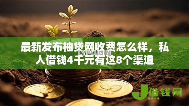最新发布柚贷网收费怎么样,私人借钱4千元有这8个渠道 最新发布柚贷网收费怎么样,私人借钱4千元有这8个渠道