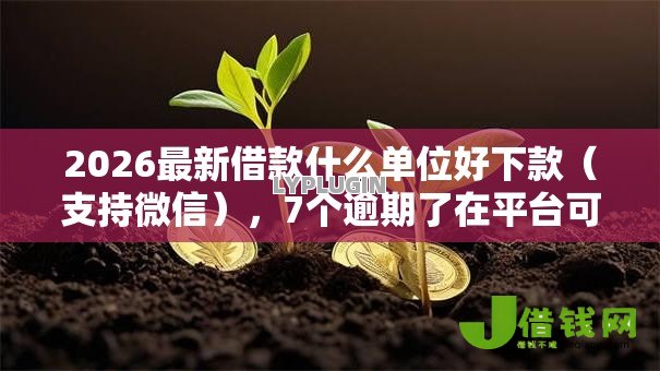 2026最新借款什么单位好下款（支持微信），7个逾期了在平台可以借到钱无私分享