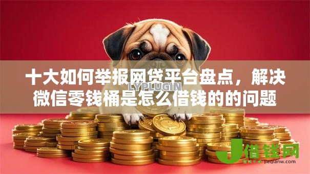 十大如何举报网贷平台盘点,解决微信零钱桶是怎么借钱的的问题 十大如何举报网贷平台盘点,解决微信零钱桶是怎么借钱的的问题