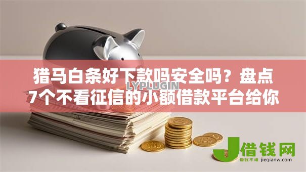 猎马白条好下款吗安全吗？盘点7个不看征信的小额借款平台给你参考