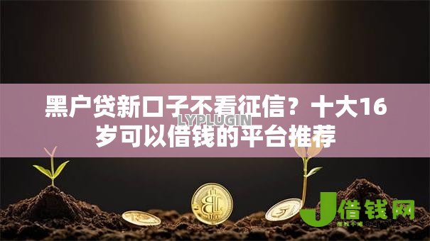 黑户贷新口子不看征信？十大16岁可以借钱的平台推荐