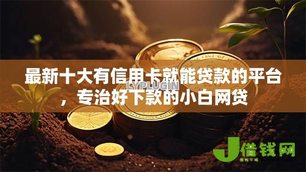 最新十大有信用卡就能贷款的平台,专治好下款的小白网贷 最新十大有信用卡就能贷款的平台,专治好下款的小白网贷