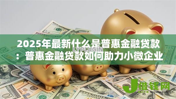 2025年最新什么是普惠金融贷款:普惠金融贷款如何助力小微企业发展 2025年最新什么是普惠金融贷款:普惠金融贷款如何助力小微企业发展