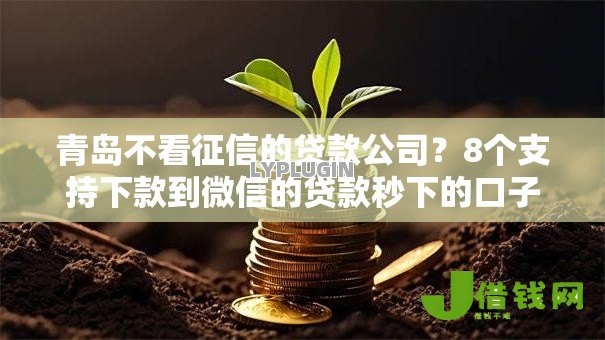 青岛不看征信的贷款公司?8个支持下款到微信的贷款秒下的口子 青岛不看征信的贷款公司?8个支持下款到微信的贷款秒下的口子