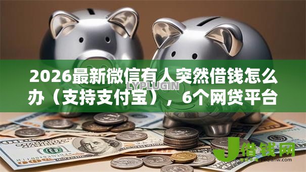2026最新微信有人突然借钱怎么办（支持支付宝），6个网贷平台有多少家无私分享